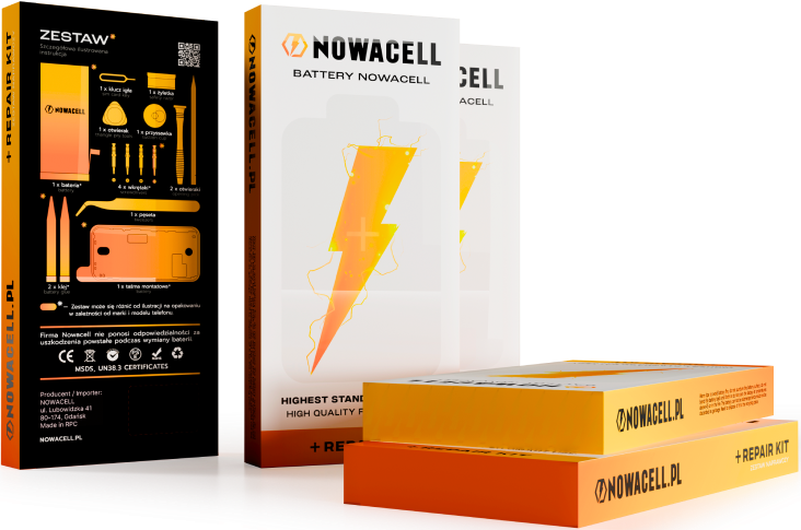 section 2 main image